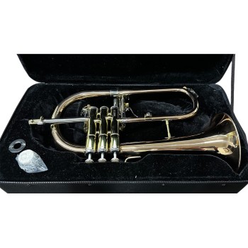 Flugelhorn Dasons Intermediário Rosè com Laqueado Si Bemol